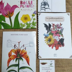 Livret PDF la pollinisation expliquée simplement illustré à l’aquarelle avec fleurs et pollinisateurs