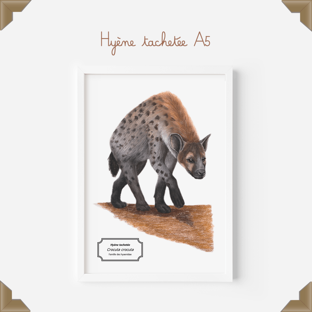 Affiche naturaliste d'une hyène