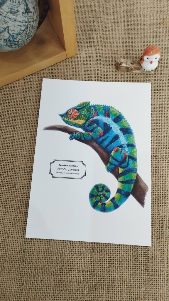 affiche naturaliste caméléon panthère