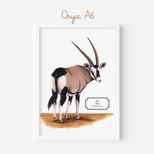 Affiche naturaliste d'un oryx