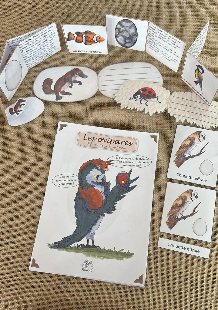 ovipares vivipares pdf éducatif