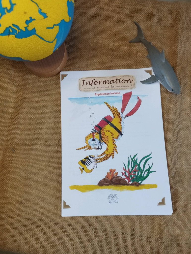 Couverture du pdf comment respire un poisson