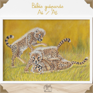 Affiche bébés guépards A4/A5