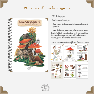 Fichier PDF champignon | Support éducatif illustré à télécharger