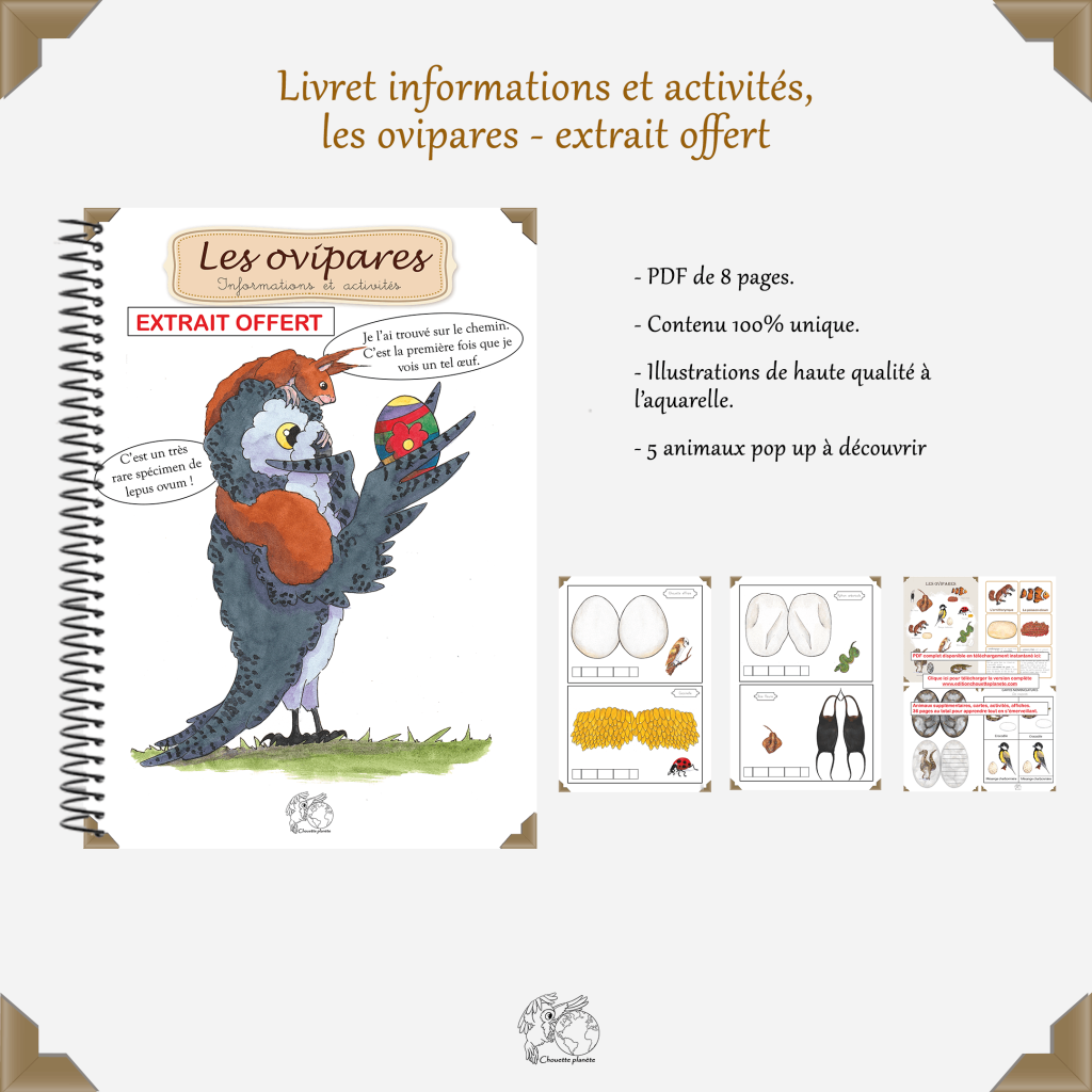 Extrait du PDF éducatif - à la découverte des ovipares