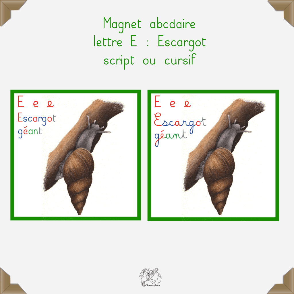 Magnet escargot