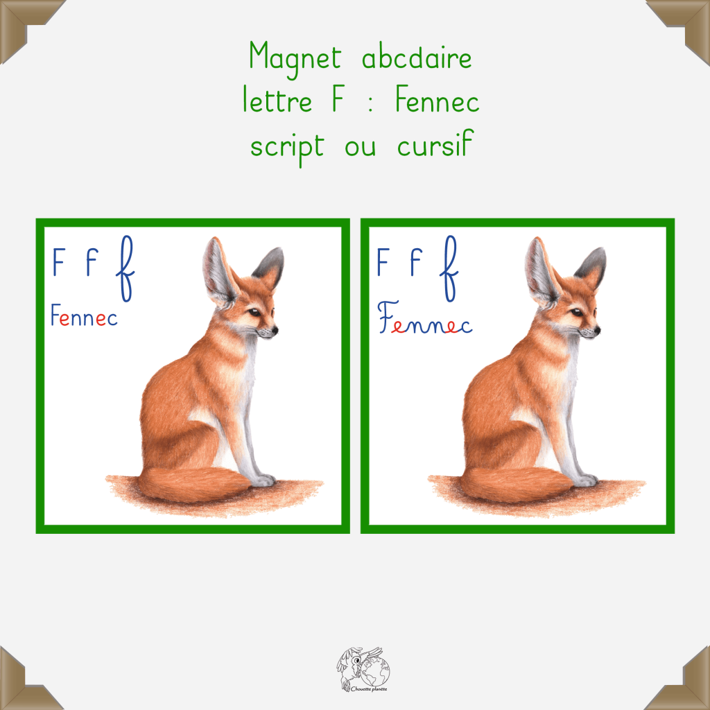 Magnet fennec