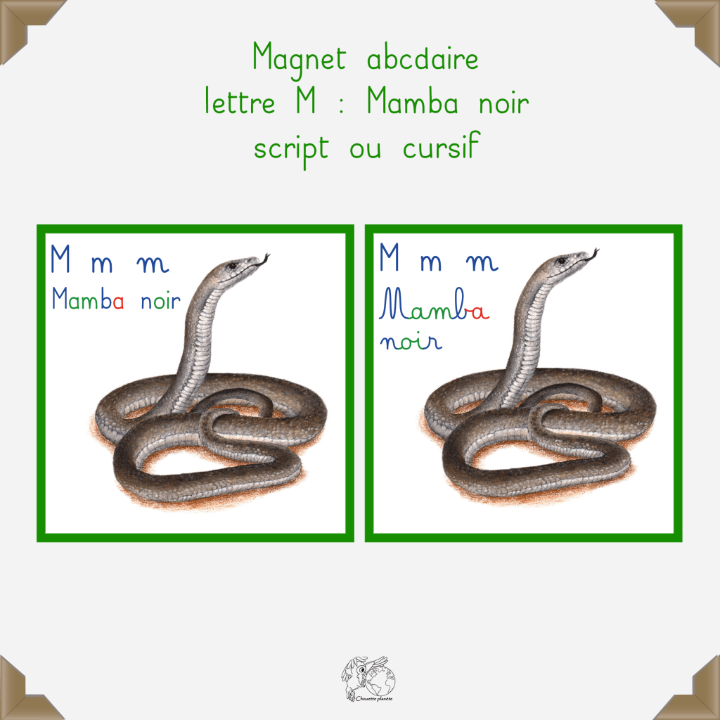 Magnet mamba noir