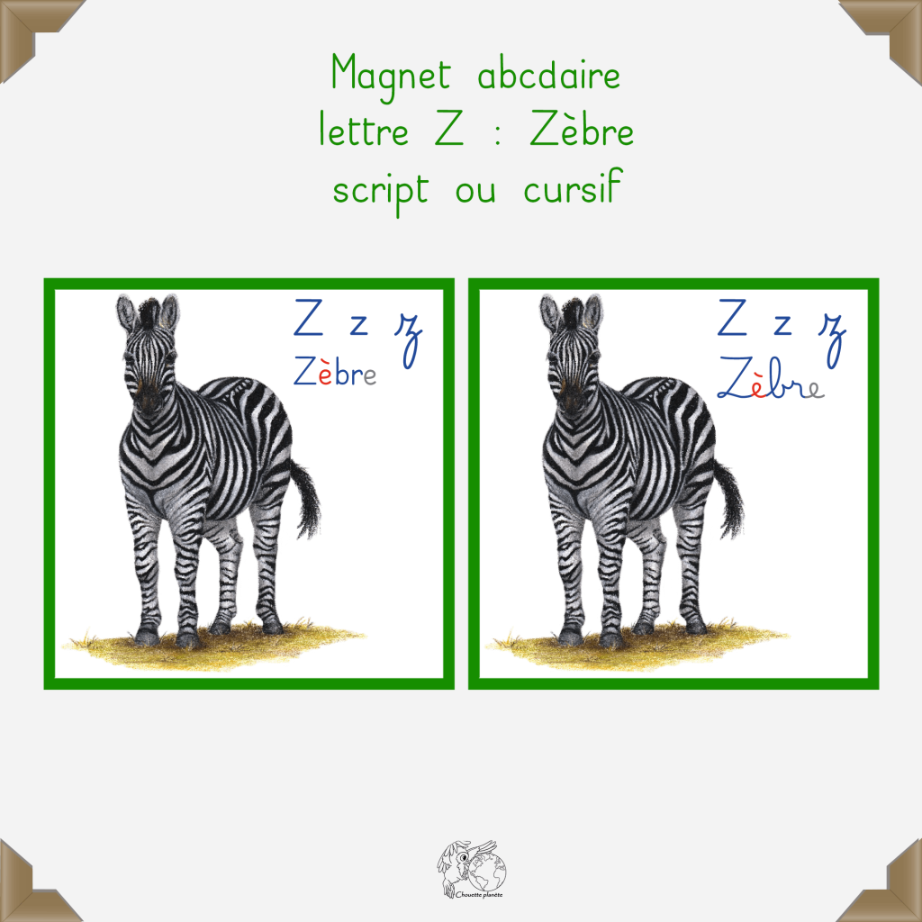 Magnet zèbre