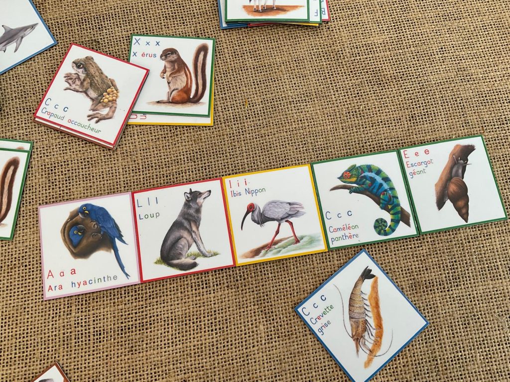 animaux et Magnet prénom Montessori - Apprendre les lettres en explorant le monde