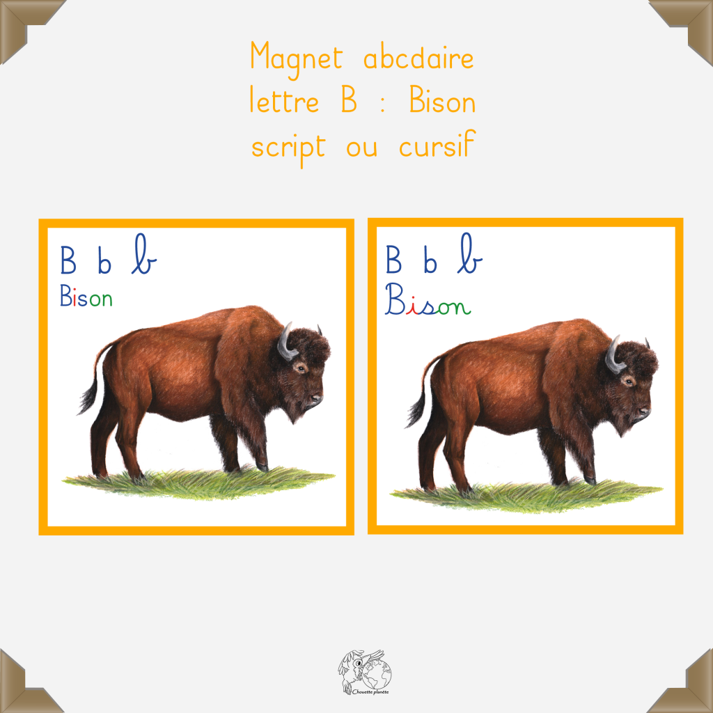 Magnet bison