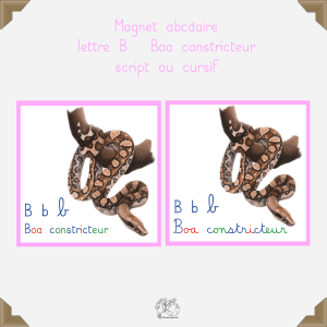 Magnet boa constricteur