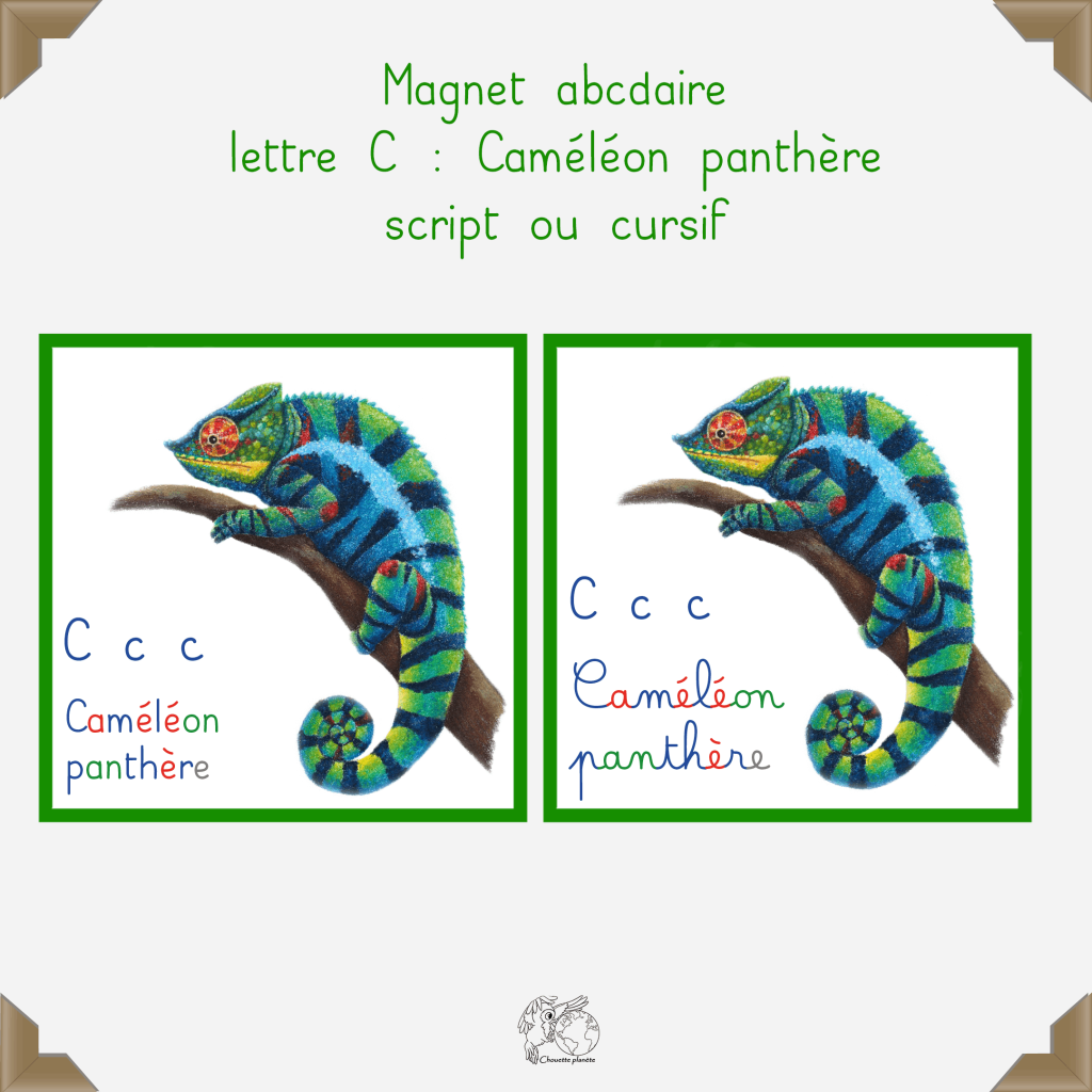 Magnet caméléon