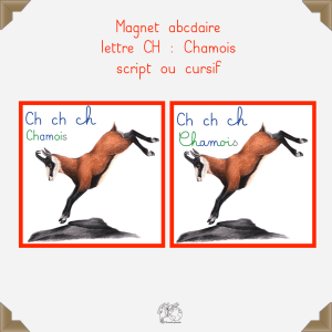 Magnet chamois