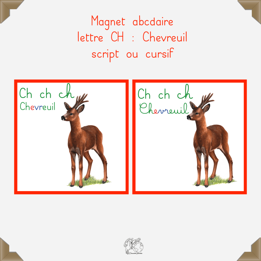 Magnet chevreuil
