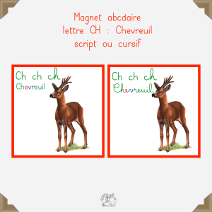 Magnet chevreuil