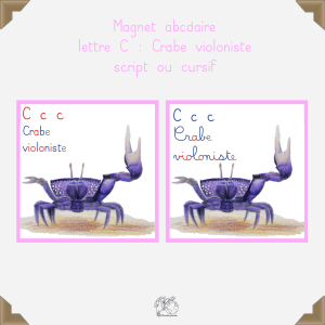 Magnet crabe violoniste