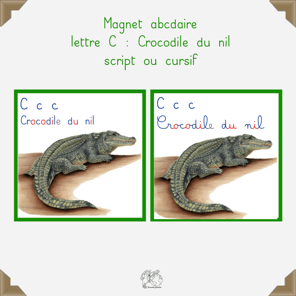 Magnet crocodile