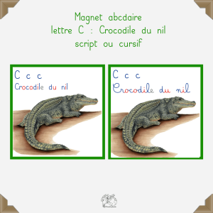 Magnet crocodile