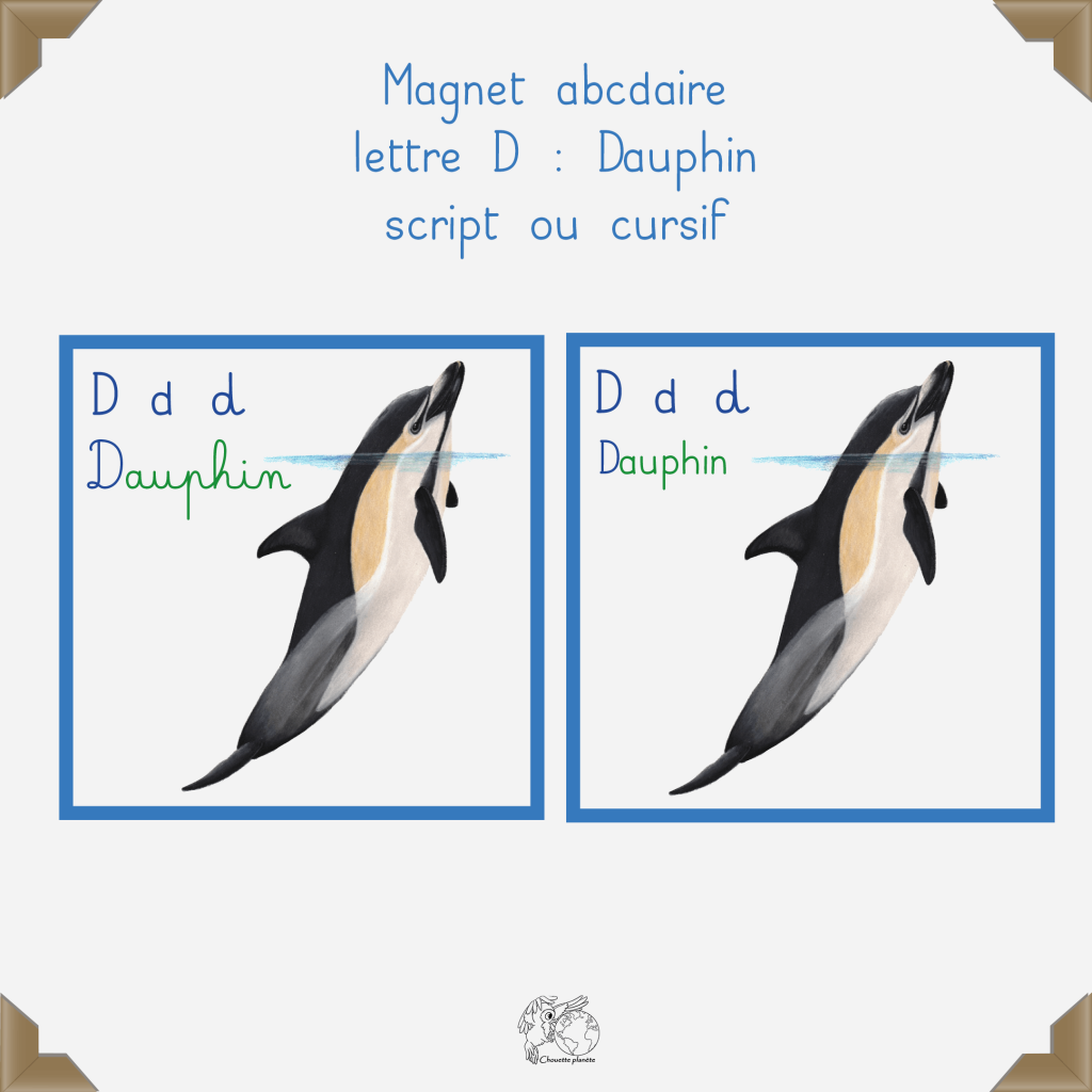 Magnet dauphin