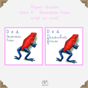 Magnet dendrobate fraise