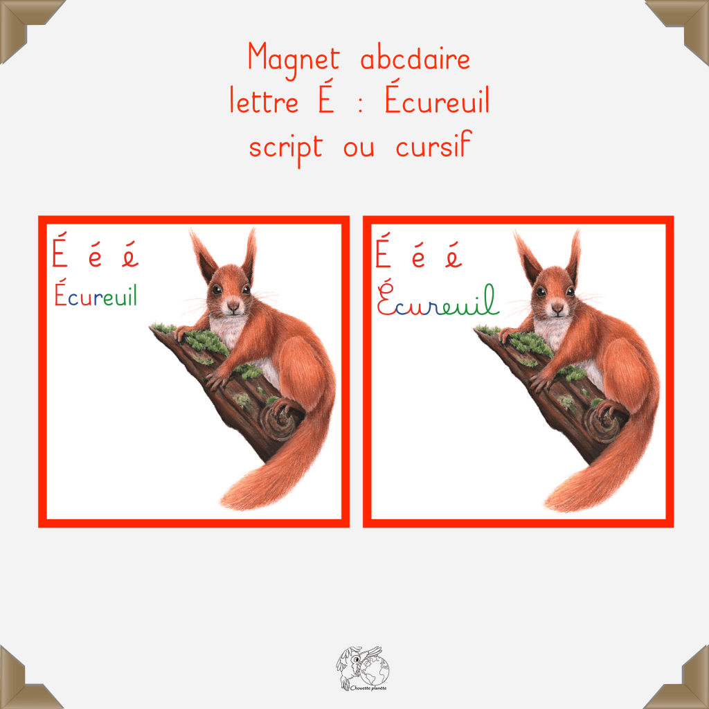 Magnet écureuil