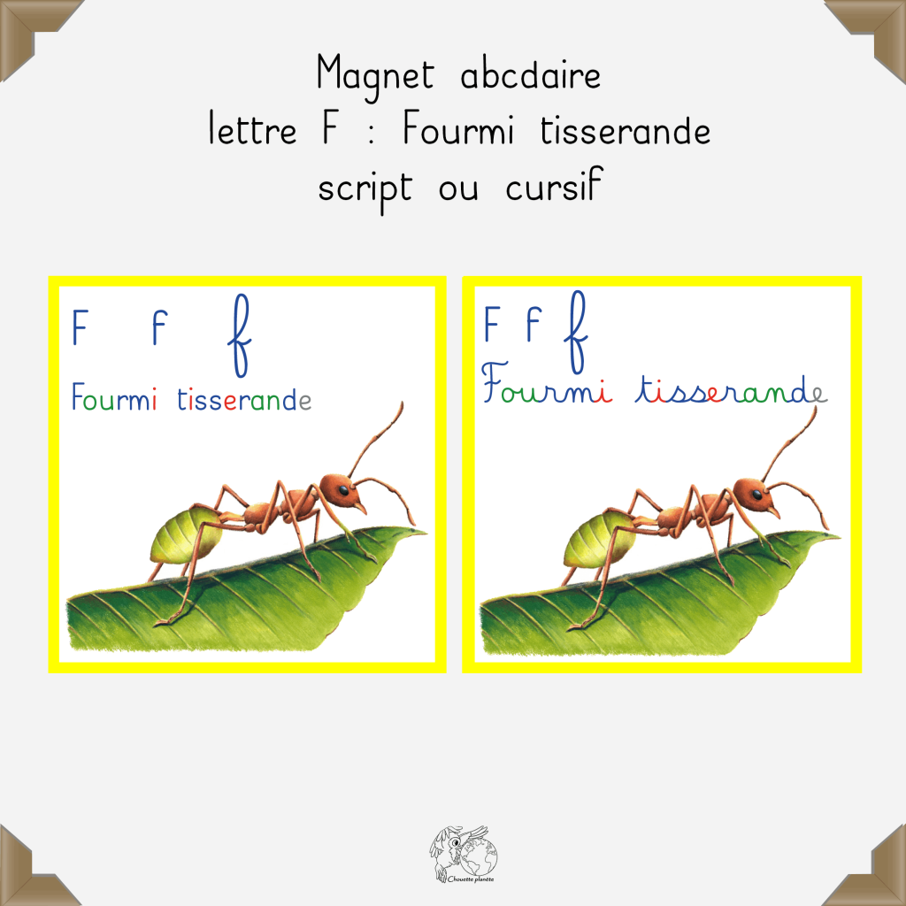 Magnet fourmi tisserande