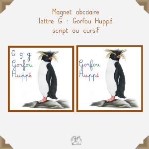 Magnet gorfou huppé