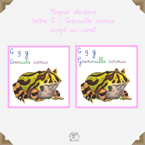 Magnet grenouille cornue
