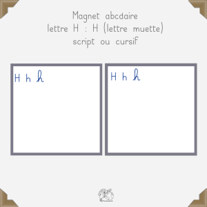 Magnet h 
