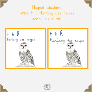 Magnet harfang des neiges