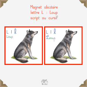 Magnet loup