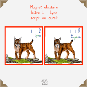 Magnet lynx