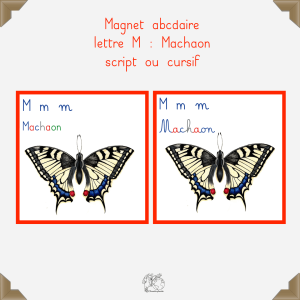 Magnet machaon