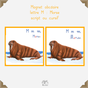 Magnet morse