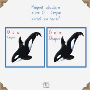 Magnet orque