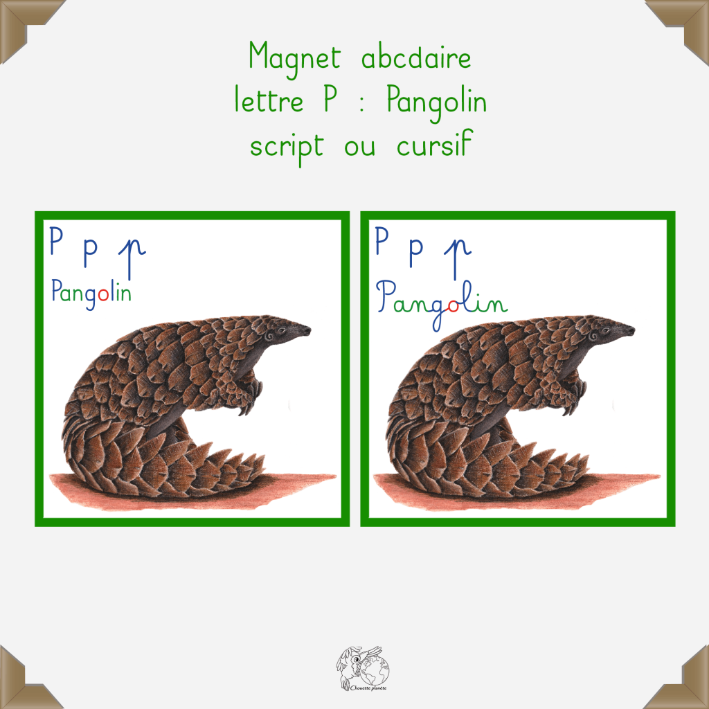Magnet pangolin