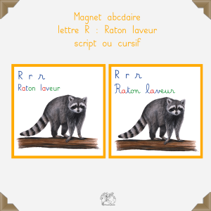 Magnet raton laveur