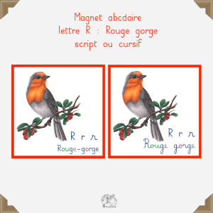Magnet rouge gorge