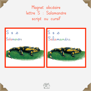 Magnet salamandre