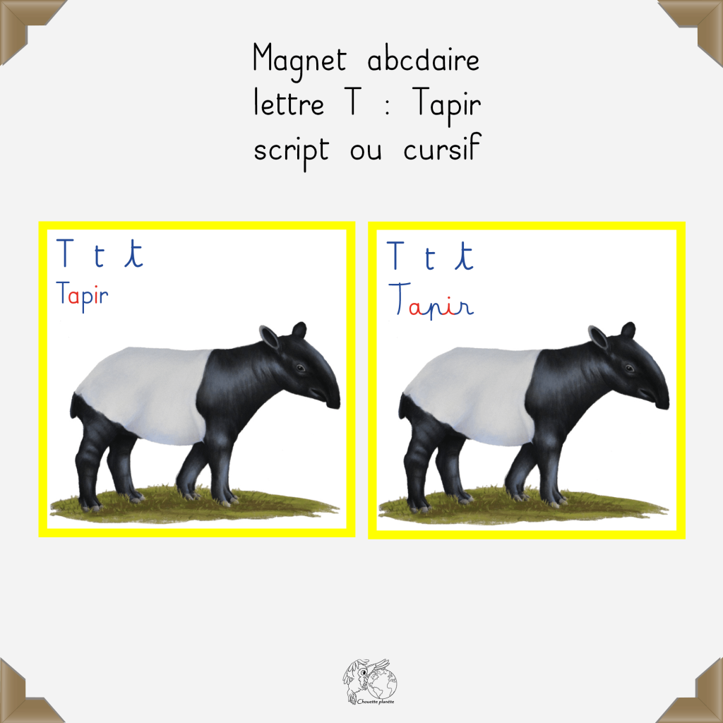 Magnet tapir