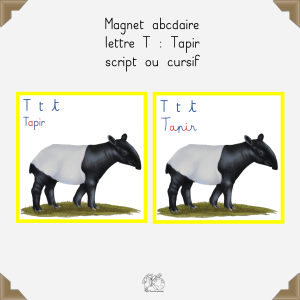 Magnet tapir