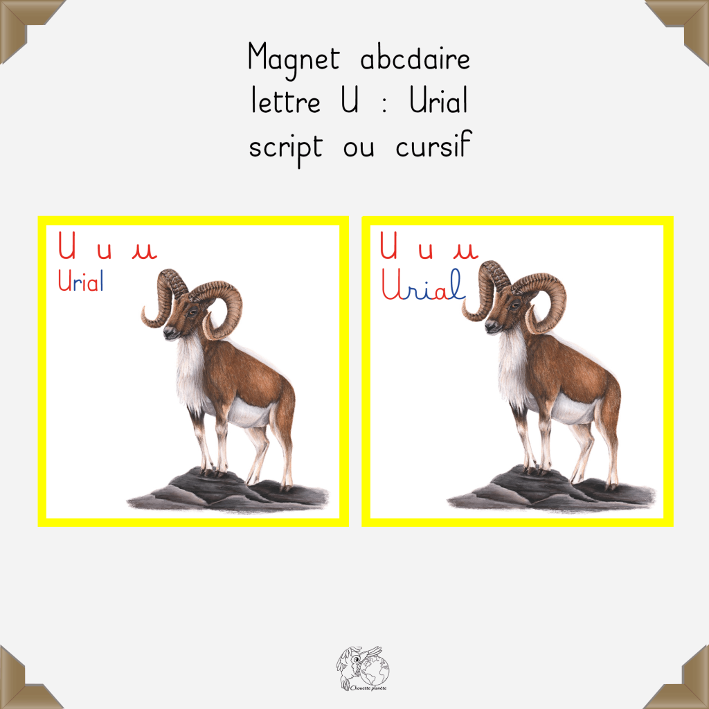 Magnet urial