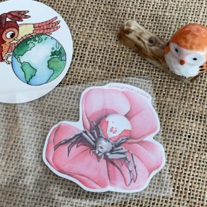 Sticker naturaliste, l'araignée crabe