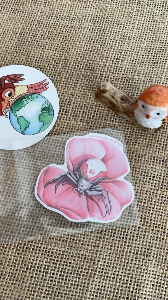 Sticker naturaliste, l'araignée crabe