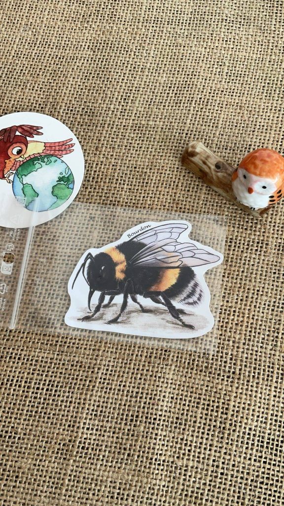 Sticker naturaliste, le bourdon