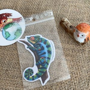 Sticker naturaliste, le caméléon panthère