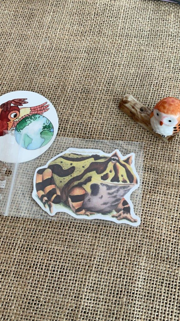Sticker naturaliste, la grenouille cornue