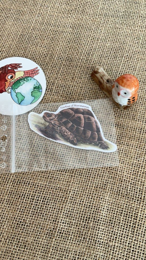 Sticker naturaliste, la tortue d'Hermann