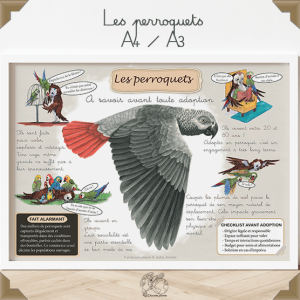 affiche éducative de prévention sur les perroquets